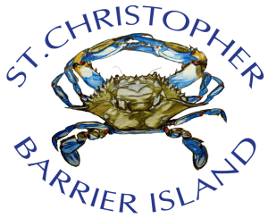 Barrier Island Earth Day 5K and Festival logo